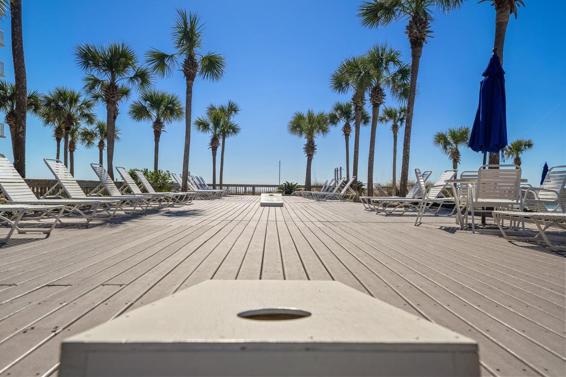 Palm-lined pool deck