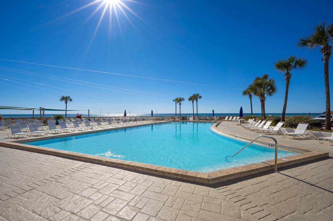 Sunlit pool with palm trees