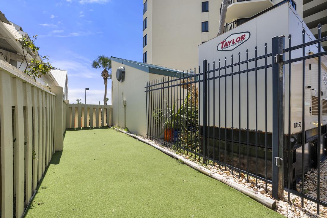 Turf lawn area
